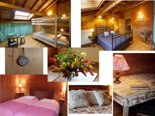 Gîte confortable avec sauna, cheminée, jardin, proche station de ski - FR-1-496-39 - 2