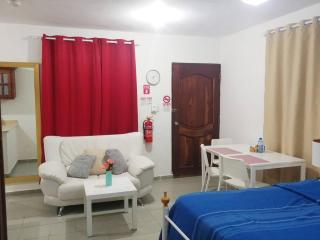 Dominican Suite 21, Amazing Apt/Studio (DS21) - San Felipe de Puerto Plata - 2
