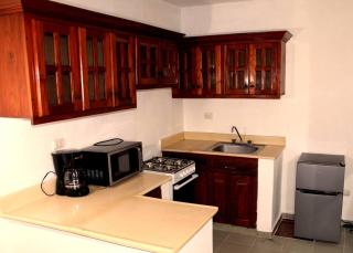 Dominican Suite 11, Amazing Apt/Studio (DS11) - San Felipe de Puerto Plata - 3
