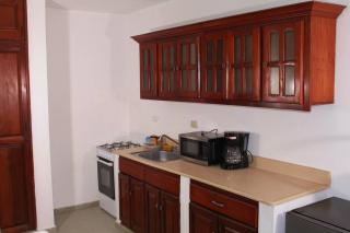 Dominican Suite 23, Incredible 1 Bed Apt (DS23) - San Felipe de Puerto Plata - 4
