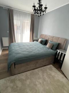 Tiberiu Ricci Apartament - 1