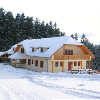 Penzion Patrik Mikulčin vrch - Vápenice - 1