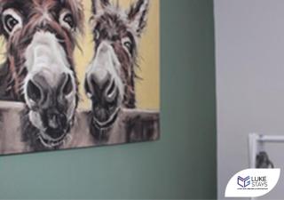 Luke Stays - Alum Waters - 1