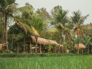 Da'kayu Glamping - 7