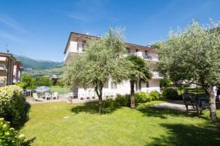 Geranio-Buganville-Viola - Arco - 8