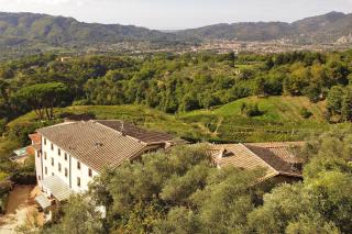 Ginepro Grillo - Happy Rentals - Camaiore - 5