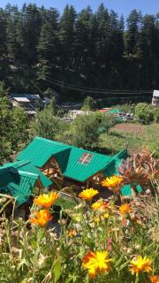 Purnima Little Italy - 2