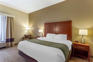 Comfort Inn & Suites - Cave City - 1