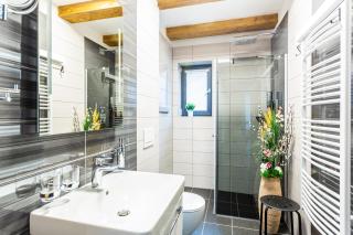 Ski Chalet Klínovec - 4