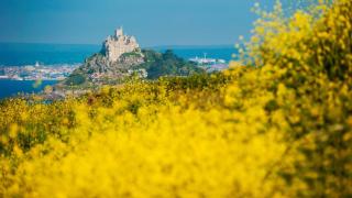 Little Trevara, Marazion - Marazion - 5