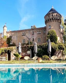 Hôtel Château Du Rey - 8