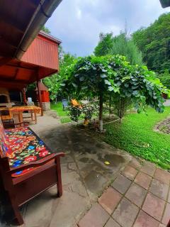 Cabana Cheile Valisoarei - Vălişoara - 5
