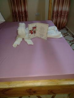 L&J Modern Backpackers Kinondoni - 9