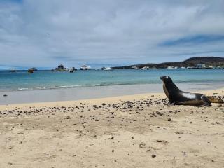 Hotel Indigo - Galapagos by IHG - 2