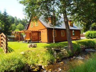 Czech Lodge - Stará Ves - 0