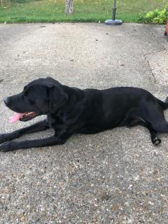 Room in house near Lycee International St Germain en Laye - 3