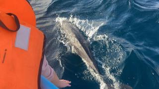 Plastic Bottle House - Dune Towers - 3