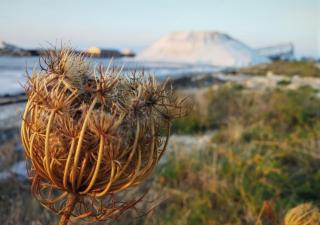 APPARTAMENTO ILLIRIA - 1