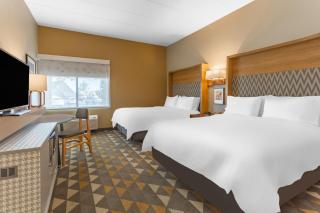 Holiday Inn Rockford by IHG - Rockford - 7