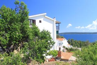 Apartments and rooms by the sea Zavala, Hvar - 8784 - 0