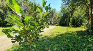 Cabañas Vista Bonita - 2