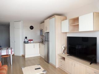 Appartement pour 4 pers avec piscine et terrasse, parking privé, animaux acceptés - FR-1-379-152 - Vieux-Boucau-les-Bains - 8