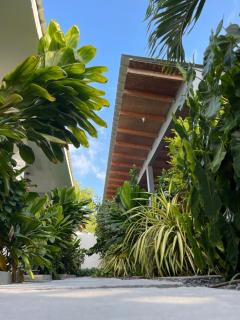 Royal Stay Thoddoo, Maldives - 4