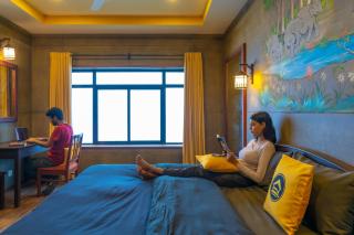 The Hosteller Munnar - Munnar - 3