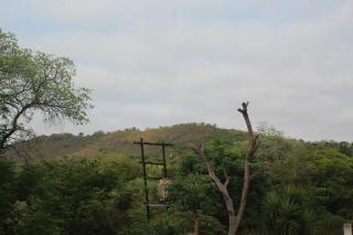 Sable Holiday Home - Hazyview - 3