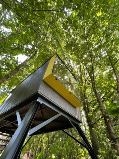 Posed v Beskydech - 0