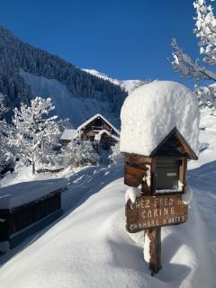 Chez Fred et Carine (Petit-déjeuner bio inclus) - Auron - 4