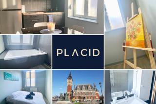 Van Gold - Appartement - Centre Ville - Calais - 9