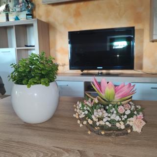 Casa Zanier Aviano - 8