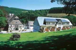 Hotel Gut Vorwald - Schmallenberg - 7