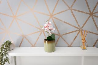 Charles Alexander Short Stay - Ansdell House - 3