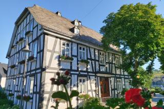 Landhotel Albers - Schmallenberg - 3