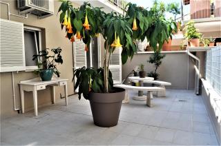 B&B Fontanella 32 - Porto SantʼElpidio - 2