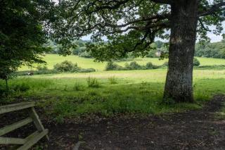 Little Patch - Boldre - 4
