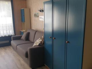 Studio chaleureux, balcon sud, 4 pers., proche centre et pistes - Les Carroz - FR-1-572-218 - Arâches-la-Frasse - 5