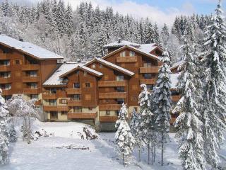 Superbe duplex aux pieds des pistes avec Wifi - FR-1-642-2 - Morillon - 5