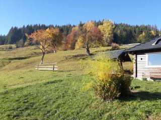 Pensiunea Casa Fierarul din Bucovina - Vatra Moldoviţei - 4