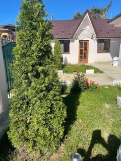 Casa Roa - Slănic - 7