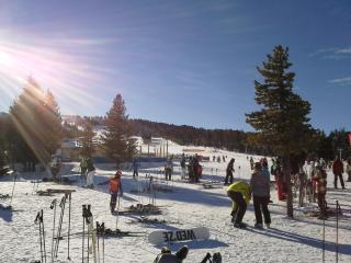 Gasthof Trattner Pension Waldhof - 7