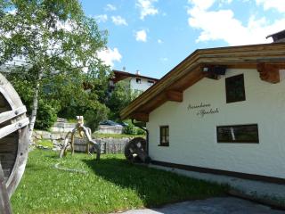 Bio & Reiterhof der Veitenhof - Niederthai - 9