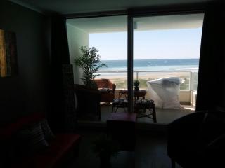 Departamento la Serena, Laguna del Mar - La Serena - 3