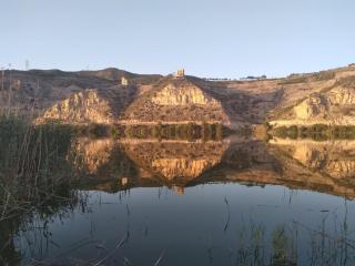R U Ready Fishing, River Ebro - Mequinenza - 4