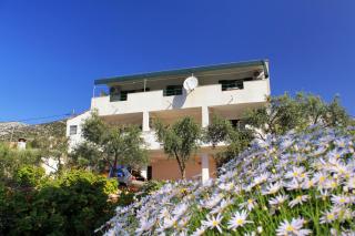 Apartments by the sea Zavala, Hvar - 8745 - 8
