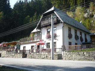 Pension Rybářská Bašta - Rožmberk nad Vltavou - 3