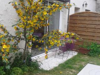 Charmante maison près des châteaux de la Loire avec jardin fermé et animaux bienvenus - FR-1-590-65 - Saint-Hilaire-Saint-Mesmin - 7