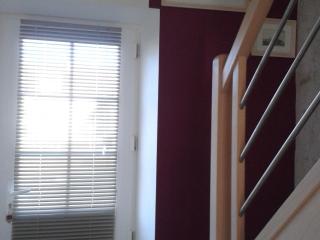 Charmante maison près des châteaux de la Loire avec jardin fermé et animaux bienvenus - FR-1-590-65 - 3